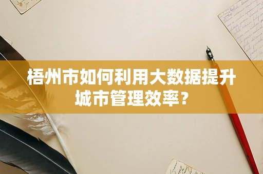梧州市如何利用大数据提升城市管理效率？