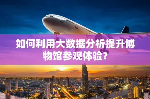 如何利用大数据分析提升博物馆参观体验？