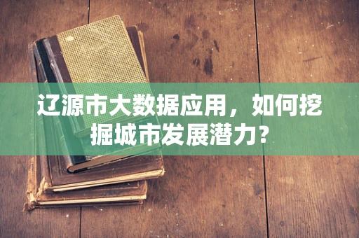 辽源市大数据应用，如何挖掘城市发展潜力？