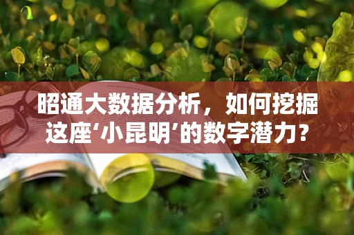 昭通大数据分析，如何挖掘这座‘小昆明’的数字潜力？