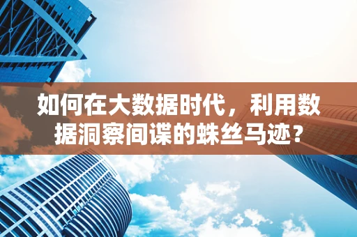 如何在大数据时代，利用数据洞察间谍的蛛丝马迹？