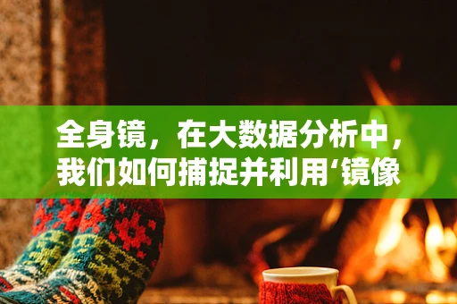 全身镜，在大数据分析中，我们如何捕捉并利用‘镜像’数据？
