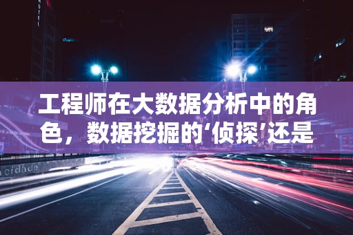 工程师在大数据分析中的角色，数据挖掘的‘侦探’还是决策的‘智囊’？