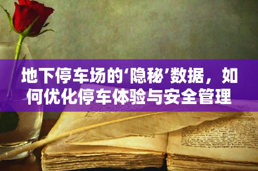 地下停车场的‘隐秘’数据，如何优化停车体验与安全管理？
