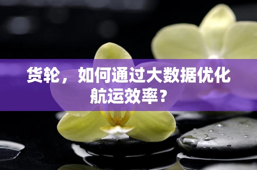 货轮，如何通过大数据优化航运效率？