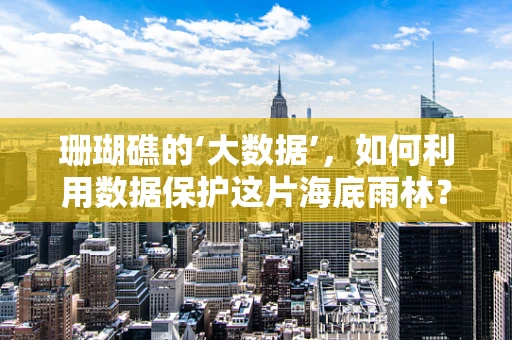 珊瑚礁的‘大数据’，如何利用数据保护这片海底雨林？