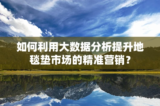 如何利用大数据分析提升地毯垫市场的精准营销？