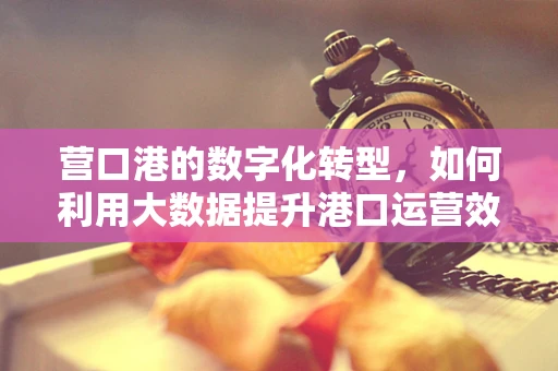 营口港的数字化转型，如何利用大数据提升港口运营效率？