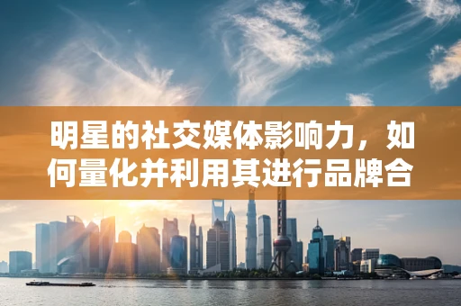 明星的社交媒体影响力，如何量化并利用其进行品牌合作？