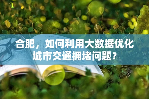 合肥，如何利用大数据优化城市交通拥堵问题？