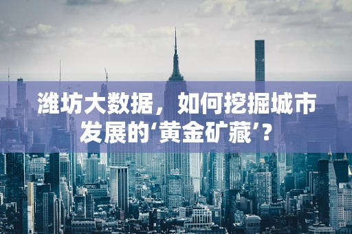 潍坊大数据，如何挖掘城市发展的‘黄金矿藏’？