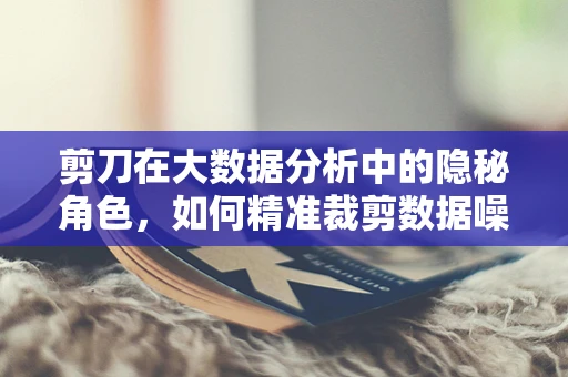 剪刀在大数据分析中的隐秘角色，如何精准裁剪数据噪音？