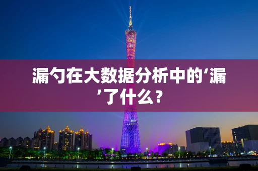 漏勺在大数据分析中的‘漏’了什么？
