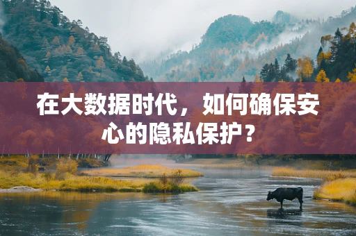 在大数据时代，如何确保安心的隐私保护？