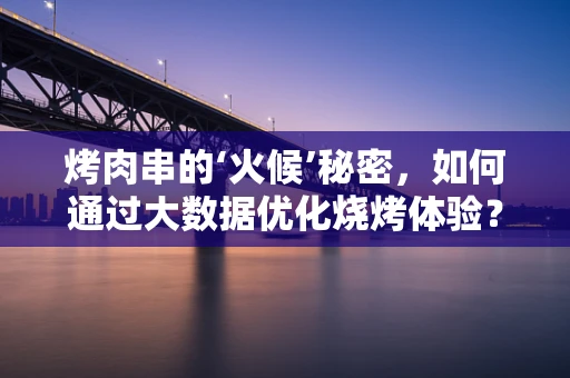 烤肉串的‘火候’秘密，如何通过大数据优化烧烤体验？