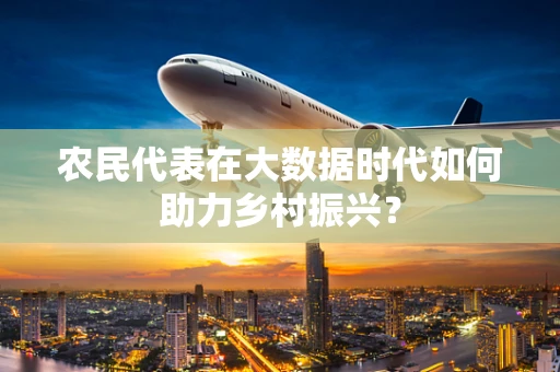 农民代表在大数据时代如何助力乡村振兴？