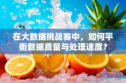 在大数据挑战赛中，如何平衡数据质量与处理速度？