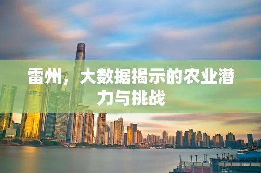 雷州，大数据揭示的农业潜力与挑战