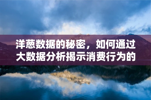 洋葱数据的秘密，如何通过大数据分析揭示消费行为的层次结构？