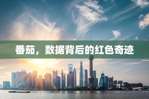 番茄，数据背后的红色奇迹
