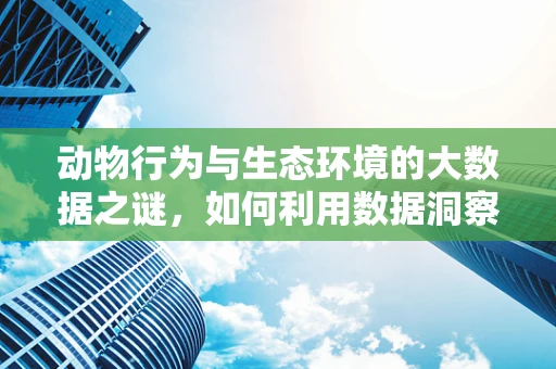 动物行为与生态环境的大数据之谜，如何利用数据洞察动物生存策略？