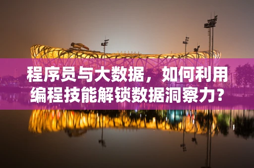 程序员与大数据，如何利用编程技能解锁数据洞察力？