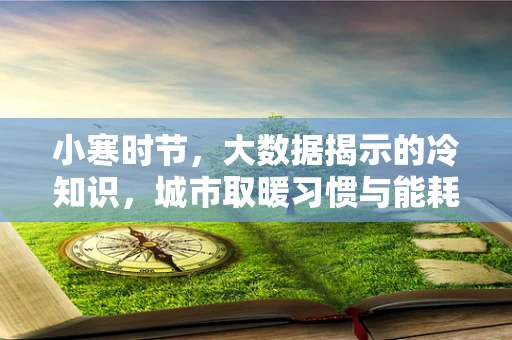 小寒时节，大数据揭示的冷知识，城市取暖习惯与能耗趋势