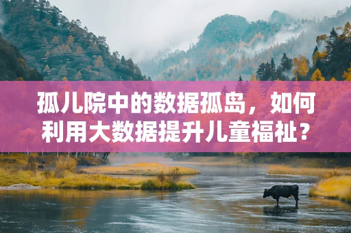 孤儿院中的数据孤岛，如何利用大数据提升儿童福祉？