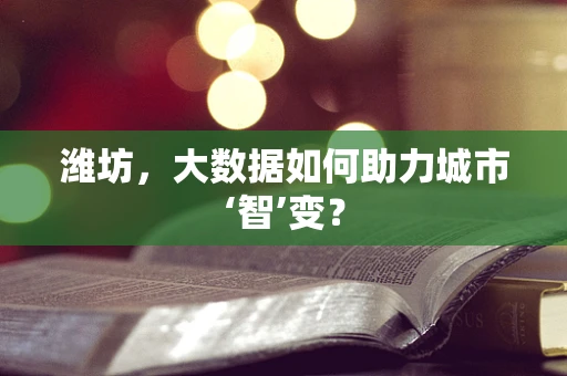 潍坊，大数据如何助力城市‘智’变？