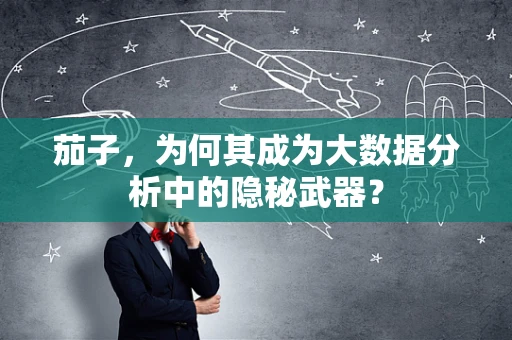 茄子，为何其成为大数据分析中的隐秘武器？