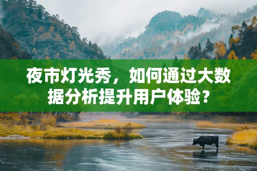 夜市灯光秀，如何通过大数据分析提升用户体验？