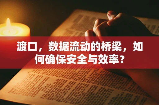 渡口，数据流动的桥梁，如何确保安全与效率？