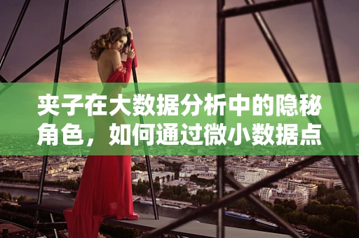 夹子在大数据分析中的隐秘角色，如何通过微小数据点提升洞察力？