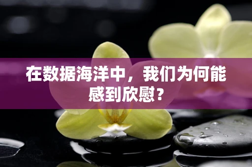 在数据海洋中，我们为何能感到欣慰？