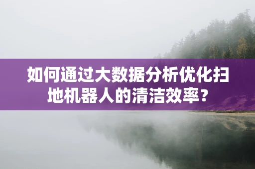 如何通过大数据分析优化扫地机器人的清洁效率？