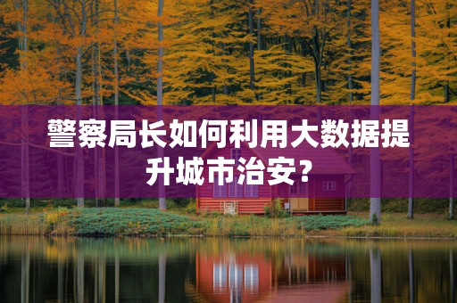 警察局长如何利用大数据提升城市治安？