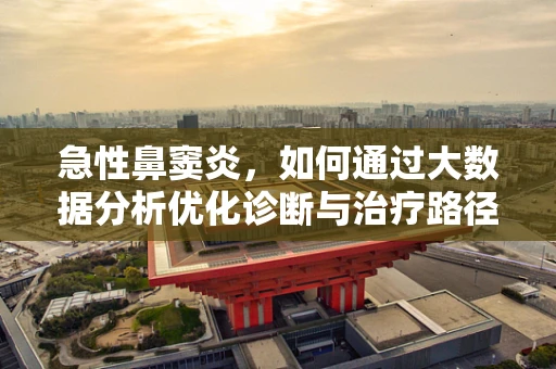 急性鼻窦炎，如何通过大数据分析优化诊断与治疗路径？