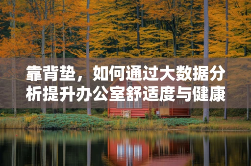 靠背垫，如何通过大数据分析提升办公室舒适度与健康？
