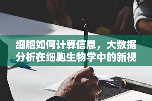 细胞如何计算信息，大数据分析在细胞生物学中的新视角？