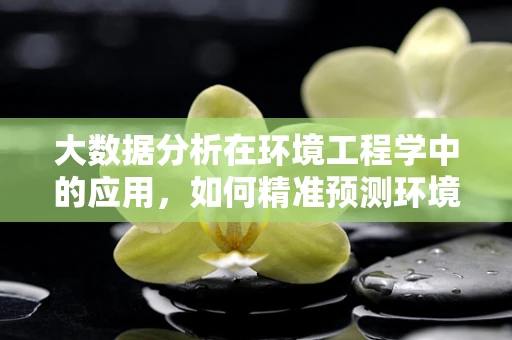 大数据分析在环境工程学中的应用，如何精准预测环境变化？