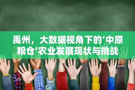 禹州，大数据视角下的‘中原粮仓’农业发展现状与挑战