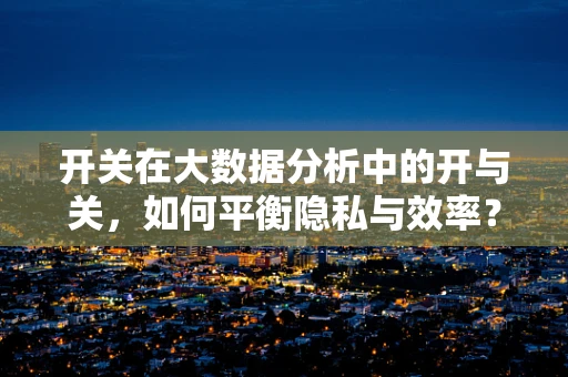 开关在大数据分析中的开与关，如何平衡隐私与效率？