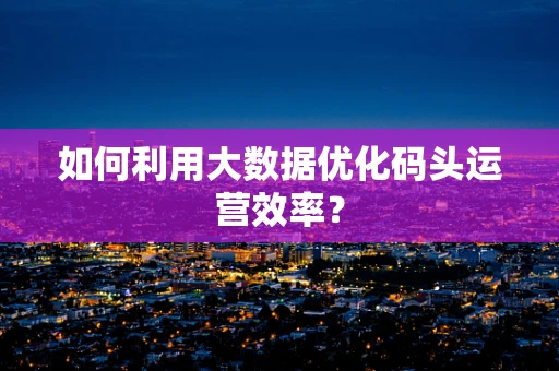 如何利用大数据优化码头运营效率？