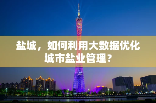 盐城，如何利用大数据优化城市盐业管理？