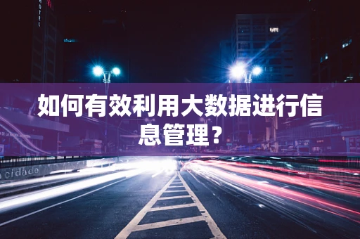如何有效利用大数据进行信息管理？