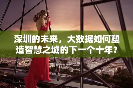 深圳的未来，大数据如何塑造智慧之城的下一个十年？