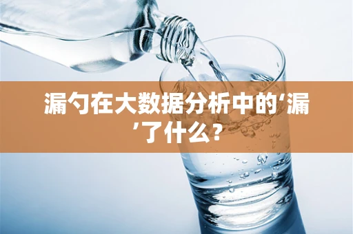 漏勺在大数据分析中的‘漏’了什么？