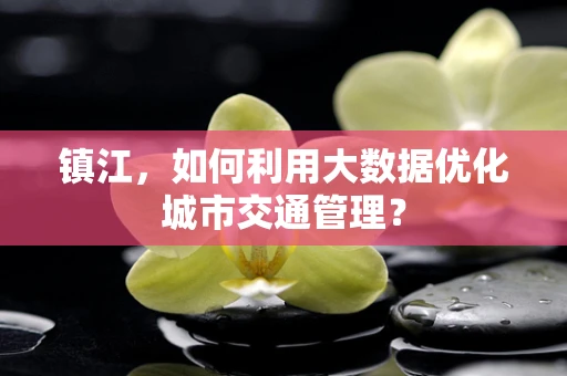 镇江，如何利用大数据优化城市交通管理？