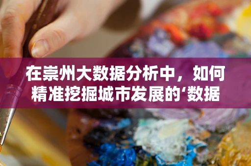 在崇州大数据分析中，如何精准挖掘城市发展的‘数据密码’？