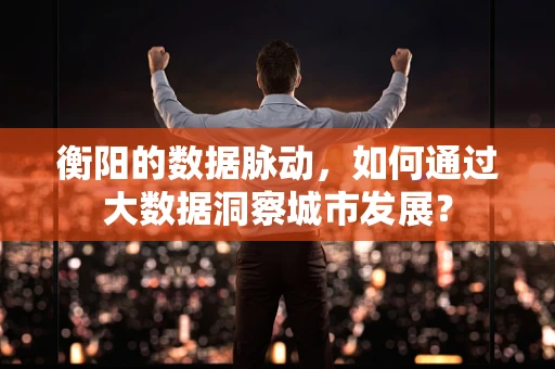 衡阳的数据脉动，如何通过大数据洞察城市发展？